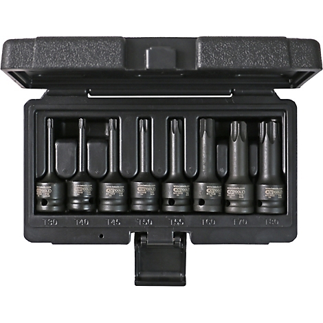 Schwarzes Werkzeugset mit Torx-Bits in einem geöffneten Koffer.